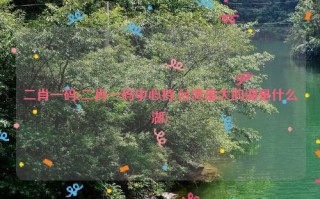 二肖一码(二肖一码中心持,台湾最大的湖是什么湖)