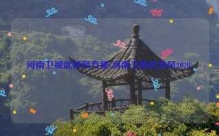 河南卫视武林风方便(河南卫视武林风2020)